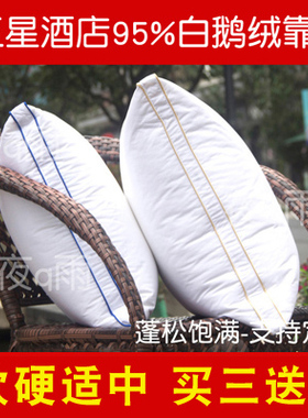 出口95白鹅绒靠枕芯羽绒抱枕45z 50 60沙发靠垫枕芯定做买三送一
