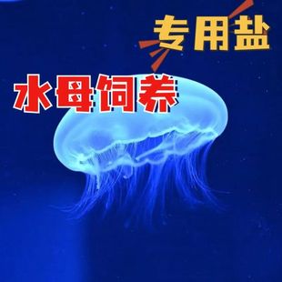 赤月海月水母海盐水母海盐海水鱼海盐鱼缸盐开缸盐换水专用进口盐