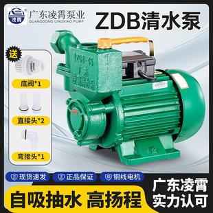 广东凌霄牌水泵家用自来水增压泵1ZDB35 65井水抽水机自吸水泵