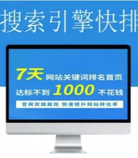 seo快排程序系统软件源码搜索引擎百度360搜狗快速排名提权重软件