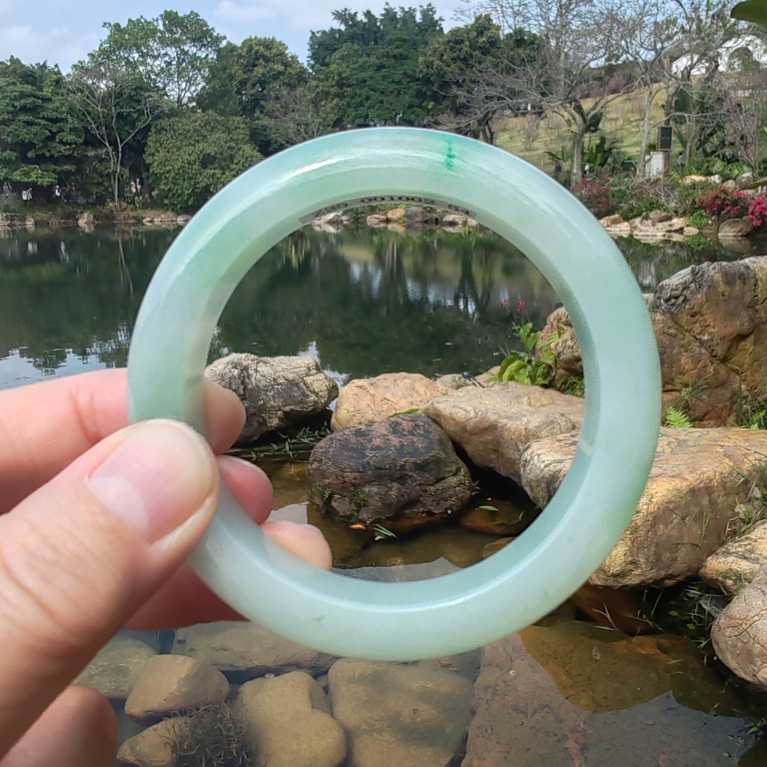 56圈天然缅甸翡翠A货手镯冰糯种绿底阳绿玉镯正圈女款白底青女神