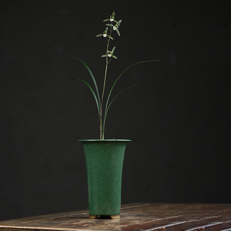 秦夕洪精品紫砂兰花盆茶r沫绿釉细叶寒兰建兰花卉植物桌面简约客