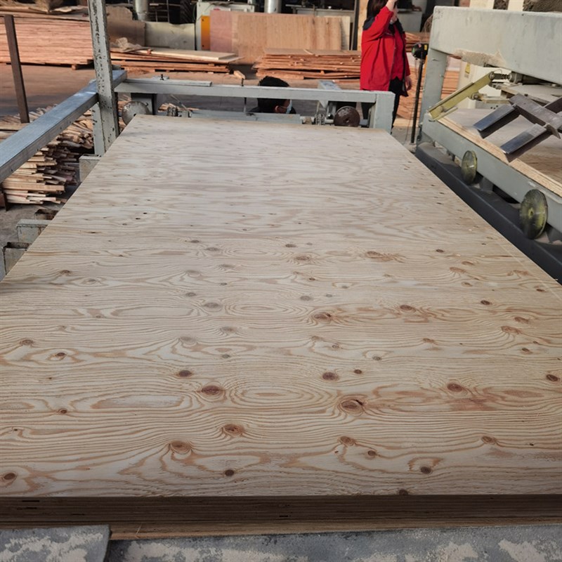 运动场馆铺装用落叶松胶合板 多层板胶合板厂家 落叶松胶合板