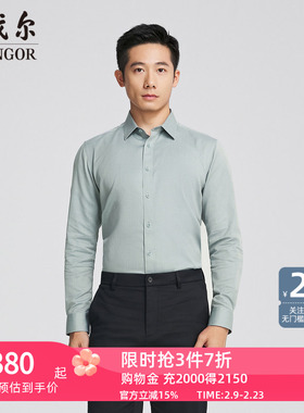 【商场同款】雅戈尔官方夏季新款商务男士浅绿素色DP长袖衬衫YLDP