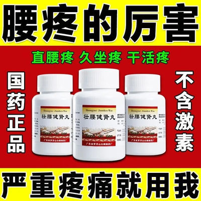 【观鹤】壮腰健肾丸35g*1瓶/盒