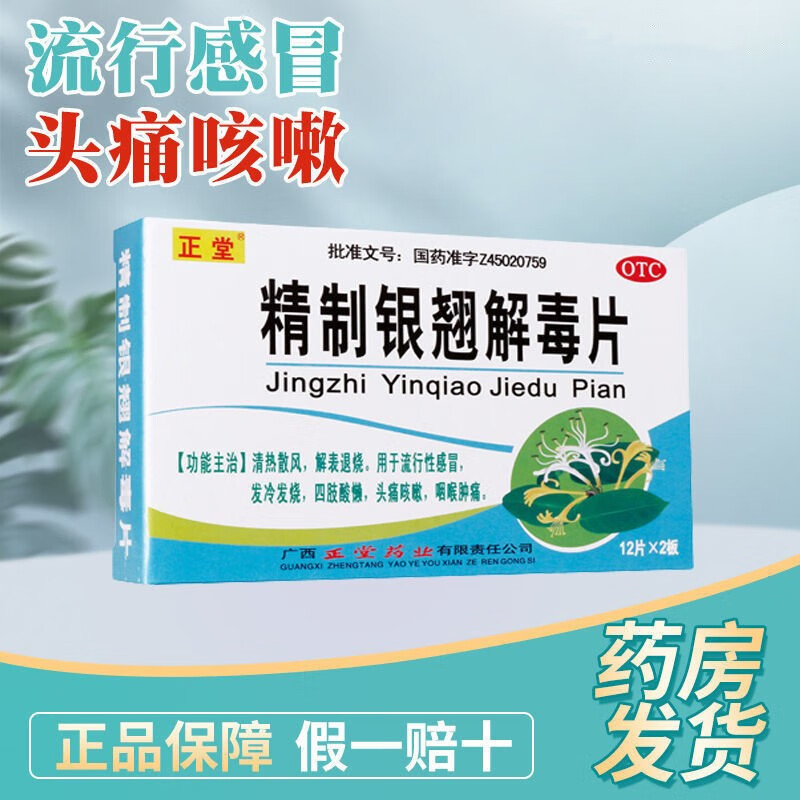 【正堂】精制银翘解毒片44mg*24片/盒