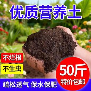 营养土养花专用通用家用种菜土泥土多肉绿萝土壤种植土有机肥料土