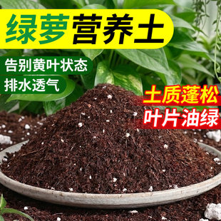 绿萝专用营养土促进生根疏松透气通用型盆栽绿植果树花土壤种植土