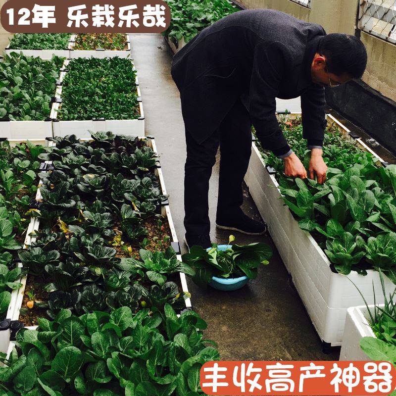 阳台种菜盆蔬菜种植箱屋顶菜园种菜神器家庭楼顶种菜专用箱架白