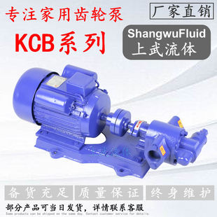 家用齒輪油泵 小型輸油齒輪泵 小工廠專用齒輪泵 單相220V齒輪泵