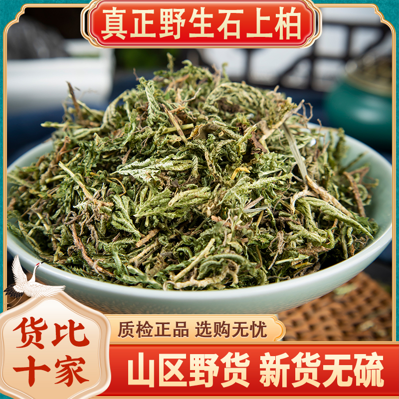 野生石上柏500g克中药材石上柏中草药石柏新鲜干货地柏草地侧柏叶