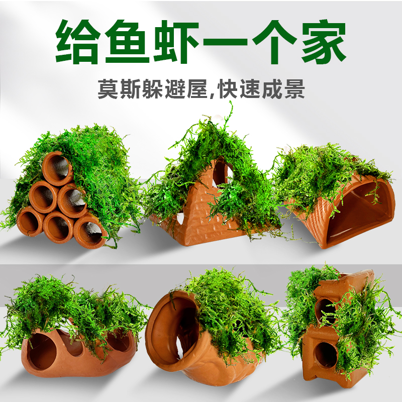 鱼缸水草造景莫斯懒人真
