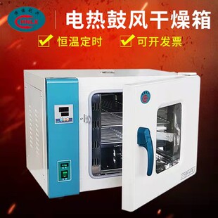 恒诺利兴电热恒温干燥箱实验室老化小烘箱高温大灯烤箱药材烘干机