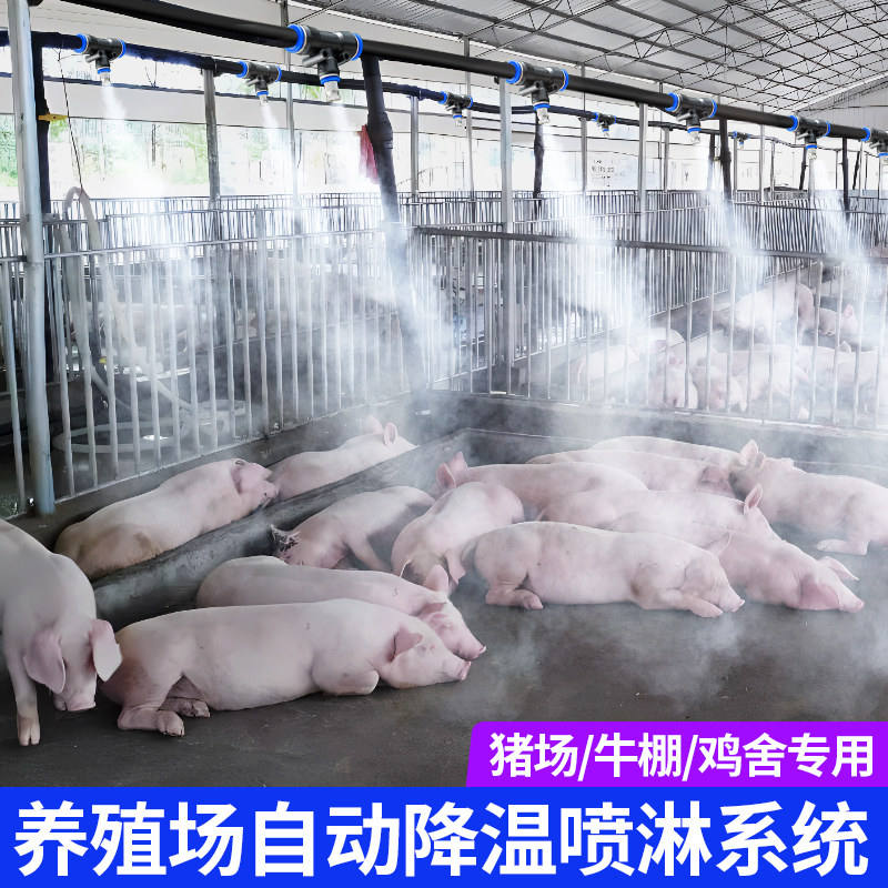 养殖场定时喷雾系统猪鸡