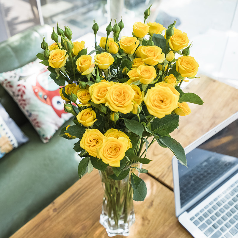 多头玫瑰浪漫爱人巧克力鲜花云南直批家用花束基地直供泡泡蔷薇*