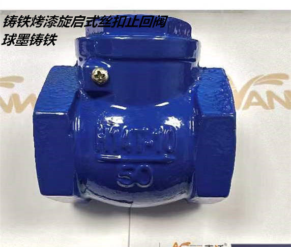H14T-10烤漆旋启式丝口铸铁止回阀蓝色铸铁丝扣单向阀,农用物资,可移动滴灌袋,淘宝优惠券,粉丝福利购,淘宝优惠卷