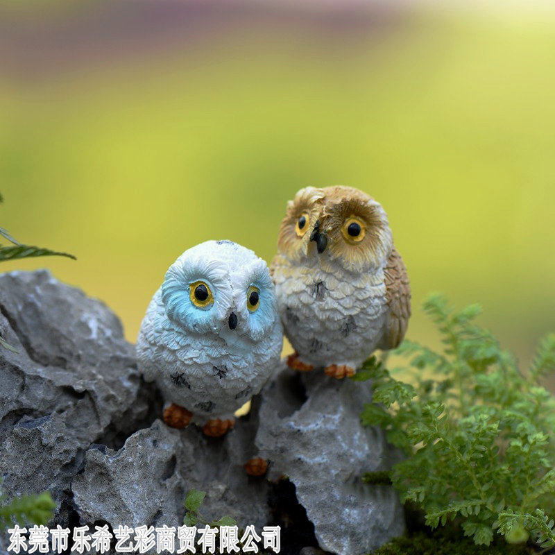 鱼缸造景苔藓微观创意绿