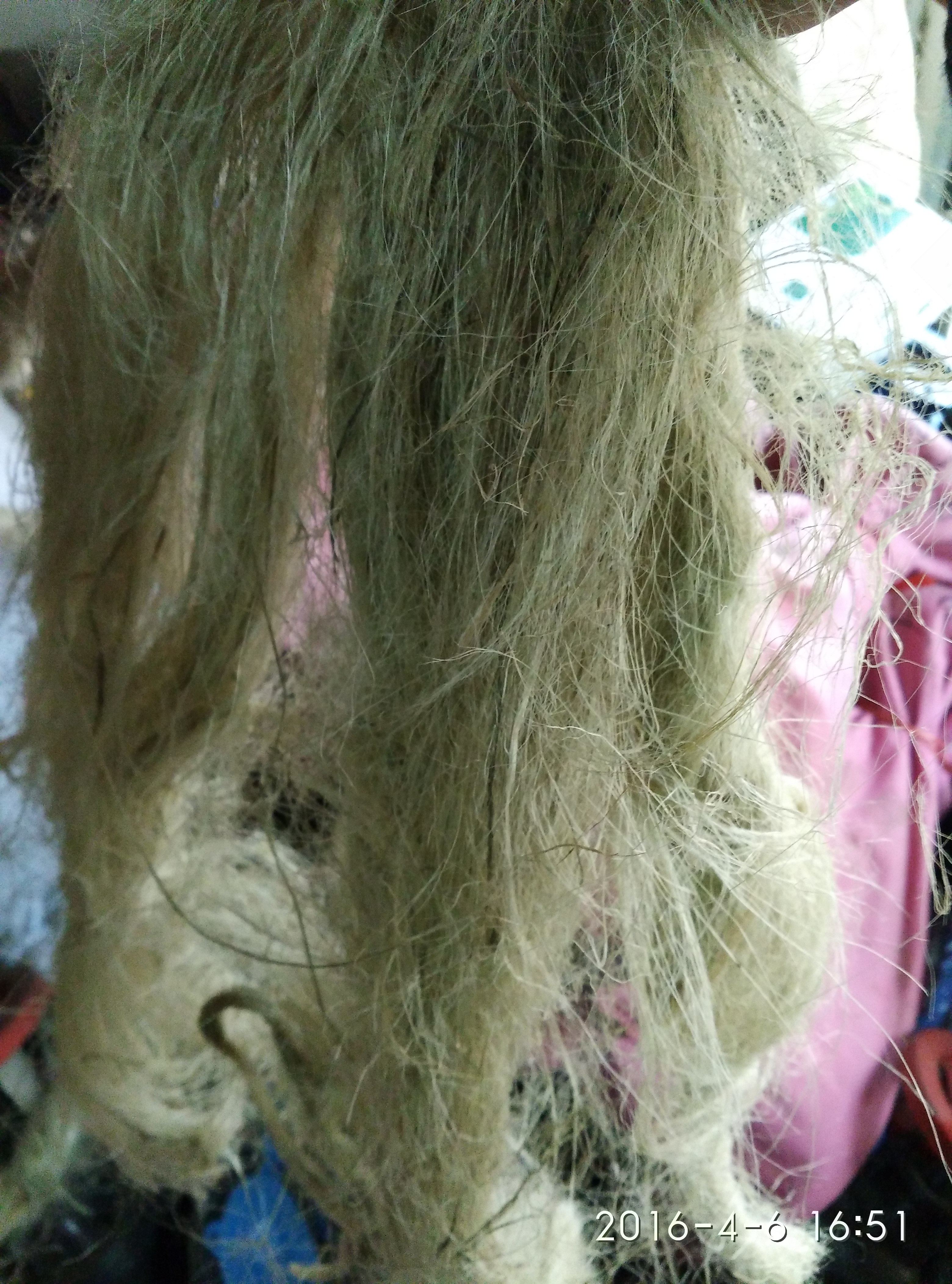 油麻丝麻丝 管道油麻丝 管件麻丝 油麻 油麻绳 管件密封用