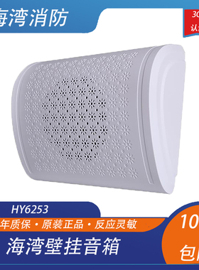 海湾壁挂音箱 HY6253室内音箱 消防广播音箱 扬声器喇叭3W