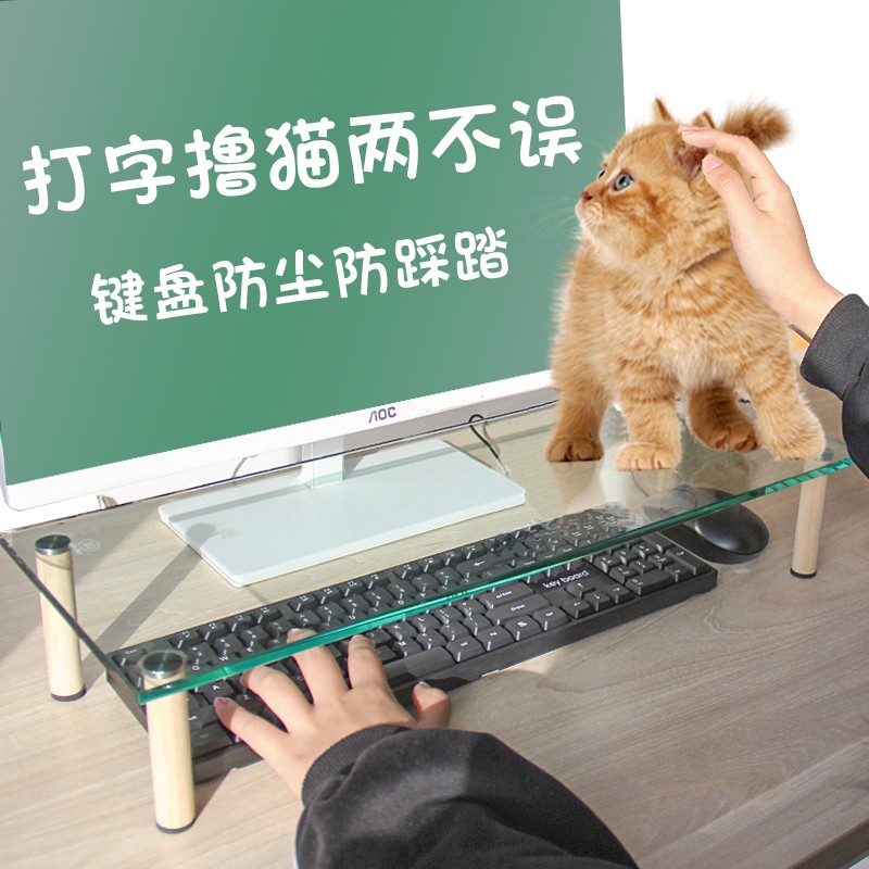 防猫键盘罩笔记本电脑玻璃支架防猫踩透明键盘架桌面显示器增高架