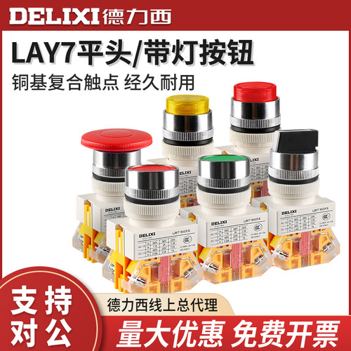 德力西按钮旋开关带灯两
