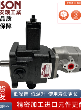 ANSON安颂TPF-VL402/401/302/301-G00/GH-11/S高低压组合泵+PA/S