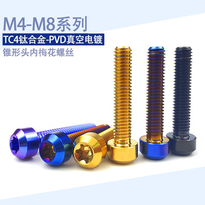 锥型头螺丝钉钛合金内梅