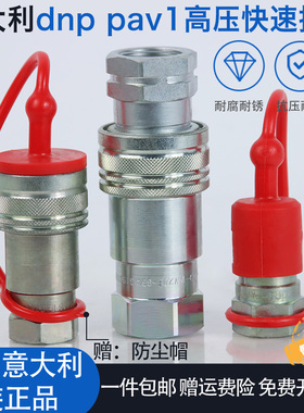 意大利DNP液压快速接头原装正品进口PAV1.1313油压高压双自封快插