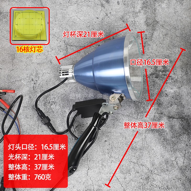 头灯核超亮强光大斑户外