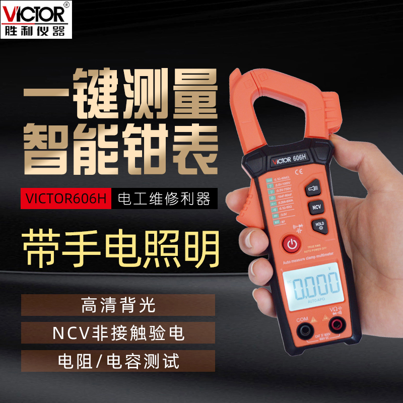 胜利傻瓜式全自动交直流