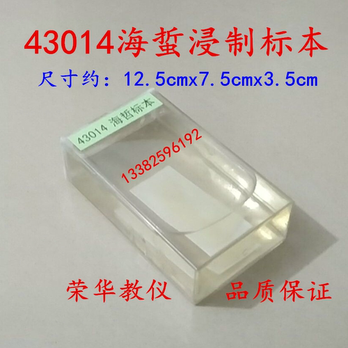 海蜇浸制标本初高中生物