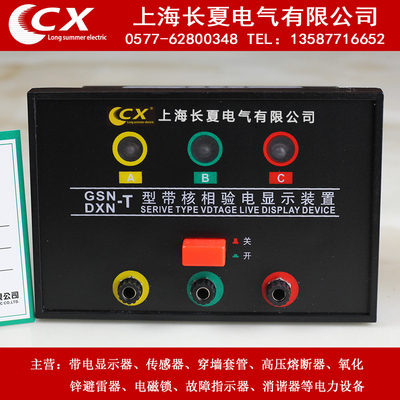 GSN/DXN-T 型带核相验电显示装置  厂价直销
