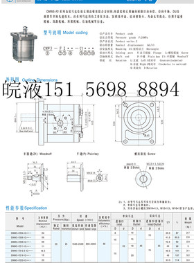 原装正品合肥皖液液压齿轮马达CMW3-F220-C1FZ1S C1LPL齿轮马达