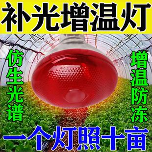 增温神器】仿太阳光温室蔬菜火龙果草莓花卉植物补光灯大棚增温灯