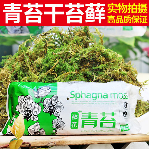 水苔蝴蝶兰专用水苔干苔藓干水苔龟背竹兰花植料盆景专用青苔