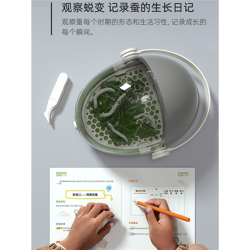 蚕宝学生养套装观察盒育