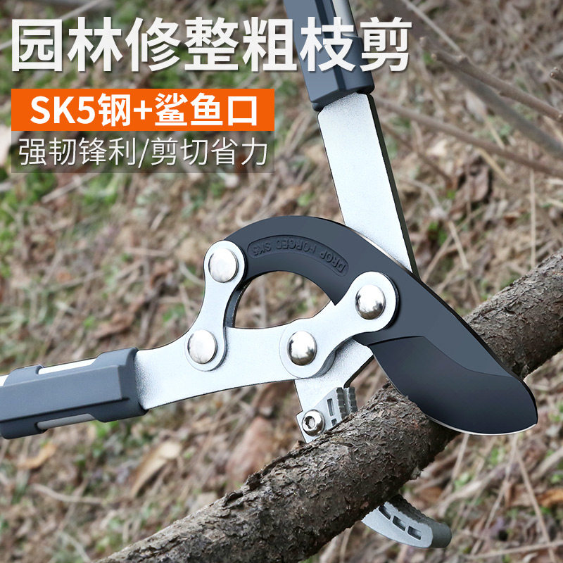 剪树枝专用剪刀果树剪枝修枝剪修剪修粗枝剪加长园林大剪子枝剪图片