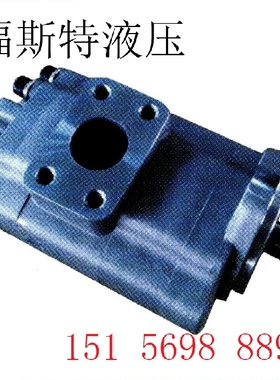 淮安福斯特G5-20-10-1E13S-20-L液压泵 齿轮油泵G5-16-8AF2花键