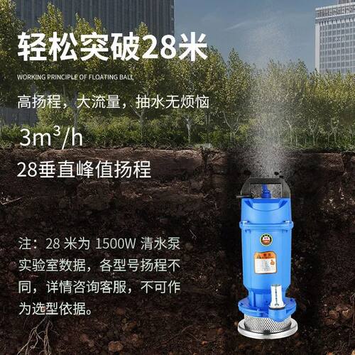 德国进口无刷直流潜水泵