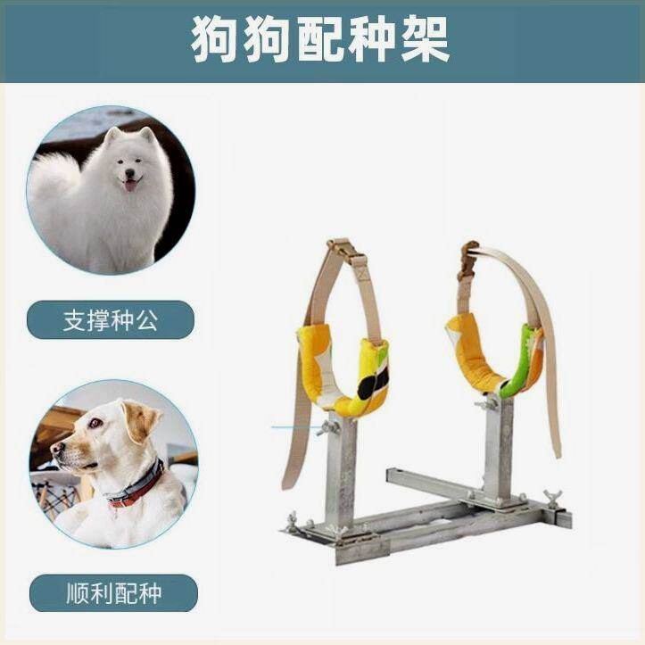小型犬用交配架法斗泰迪柯基配狗支架柴犬配狗架子固定狗狗配种架