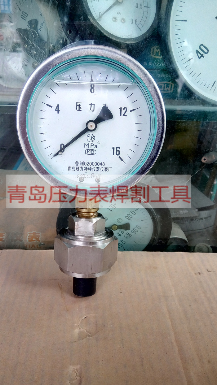YTNP100隔膜压力表0.6,1,1.6,2.5等MPA青岛冠力特种仪器仪表厂