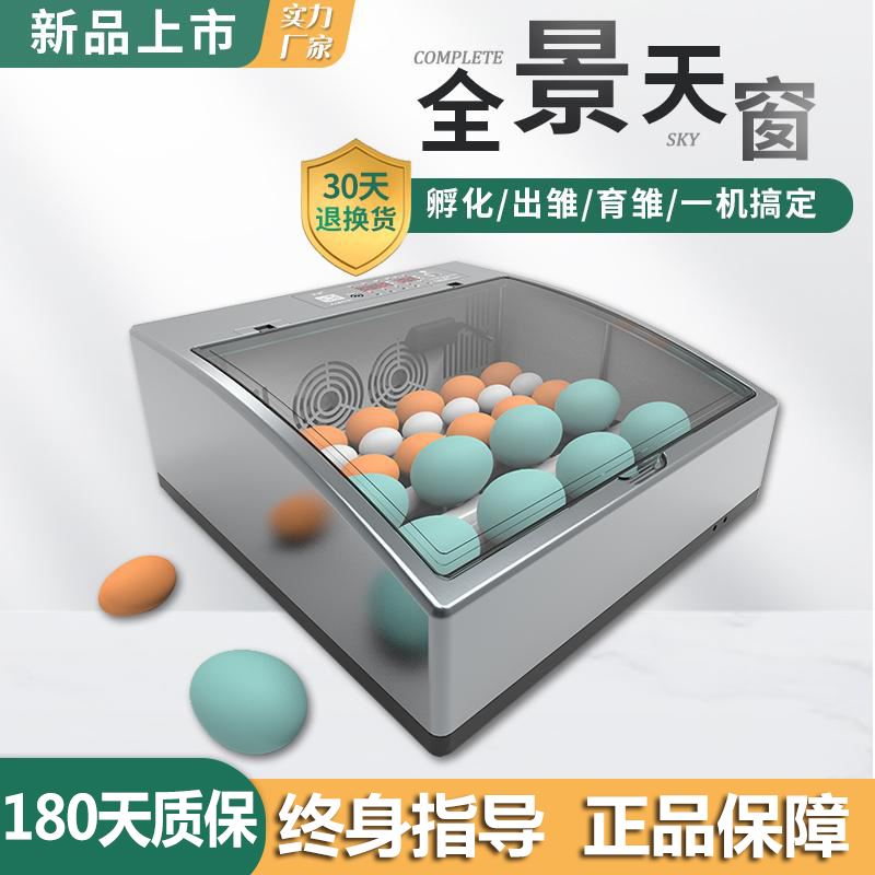 孵蛋器化机鸡鸭鹦鹉小型