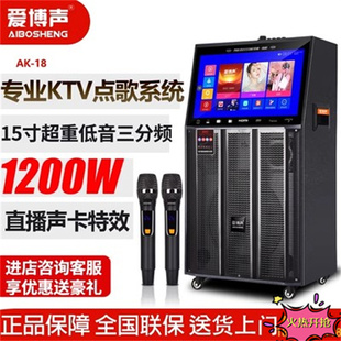 爱博声AK 15户外广场舞音响吉他唱歌演出大功率蓝牙带视频音箱