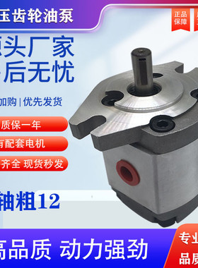液压高压齿轮油泵HGP-1A-F1R/F2R/F3R/F4R/F5R/F6R/F8R RX2B RX4B