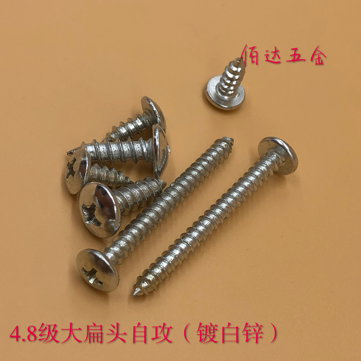 镀锌大扁自攻伞头帽螺钉