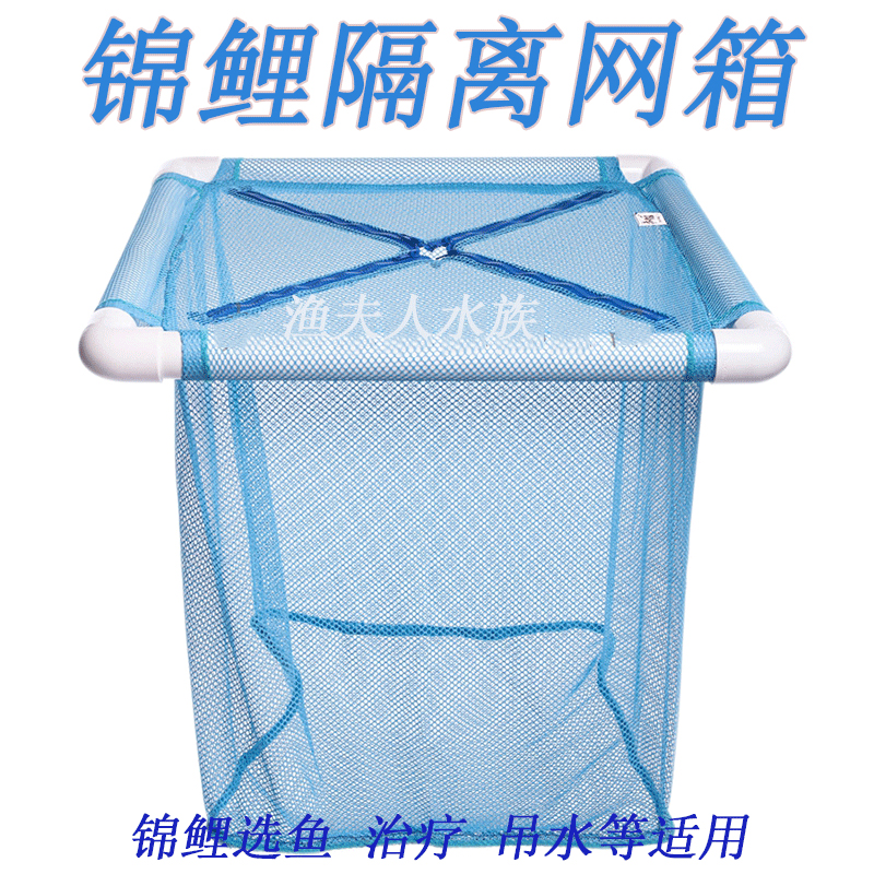 锦鲤隔离网箱鱼池暂养漂