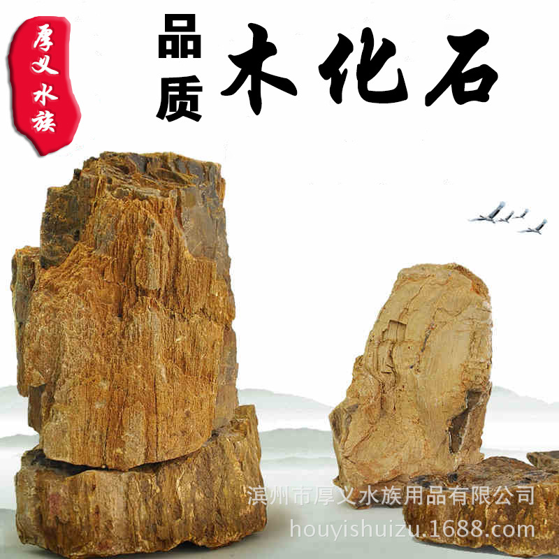 生态鱼缸水族箱草造景天
