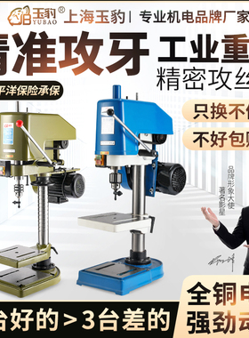 重型工业级台式攻丝机全自动小型电动攻牙机微型SWJ12/16套丝螺纹