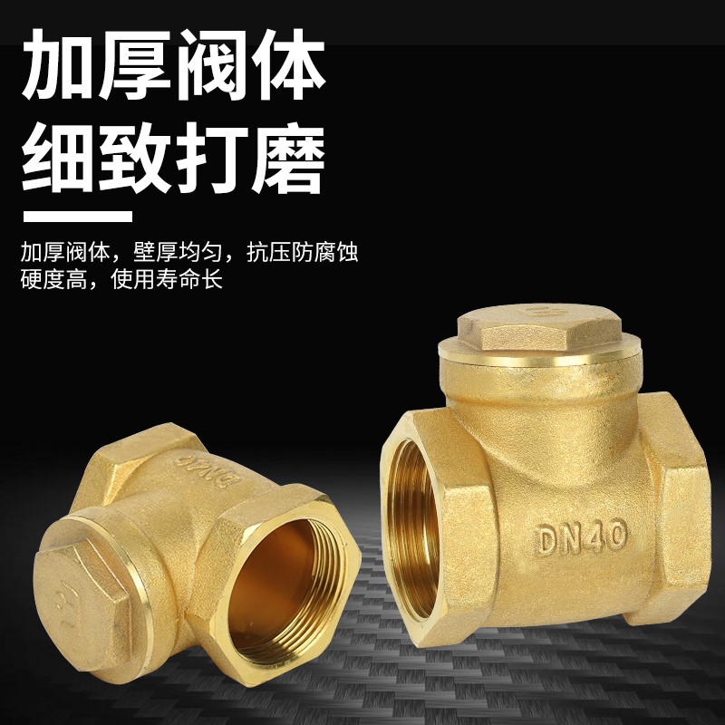 全铜止回阀卧式分寸水泵