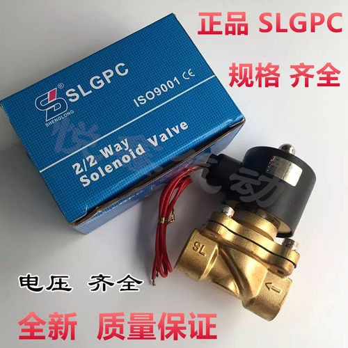 SLGPC 2W常闭2W160-15 2W025-08 2W250-25 电磁阀水阀气阀220V24V